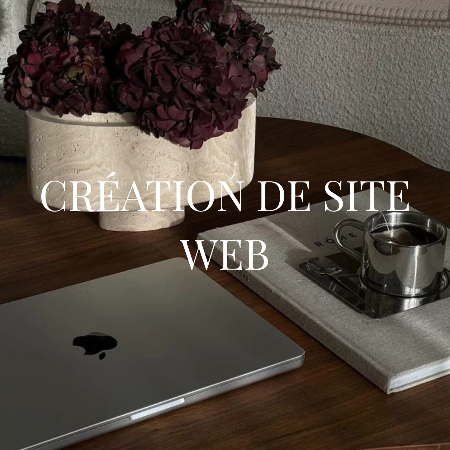 Création de site web professionnel